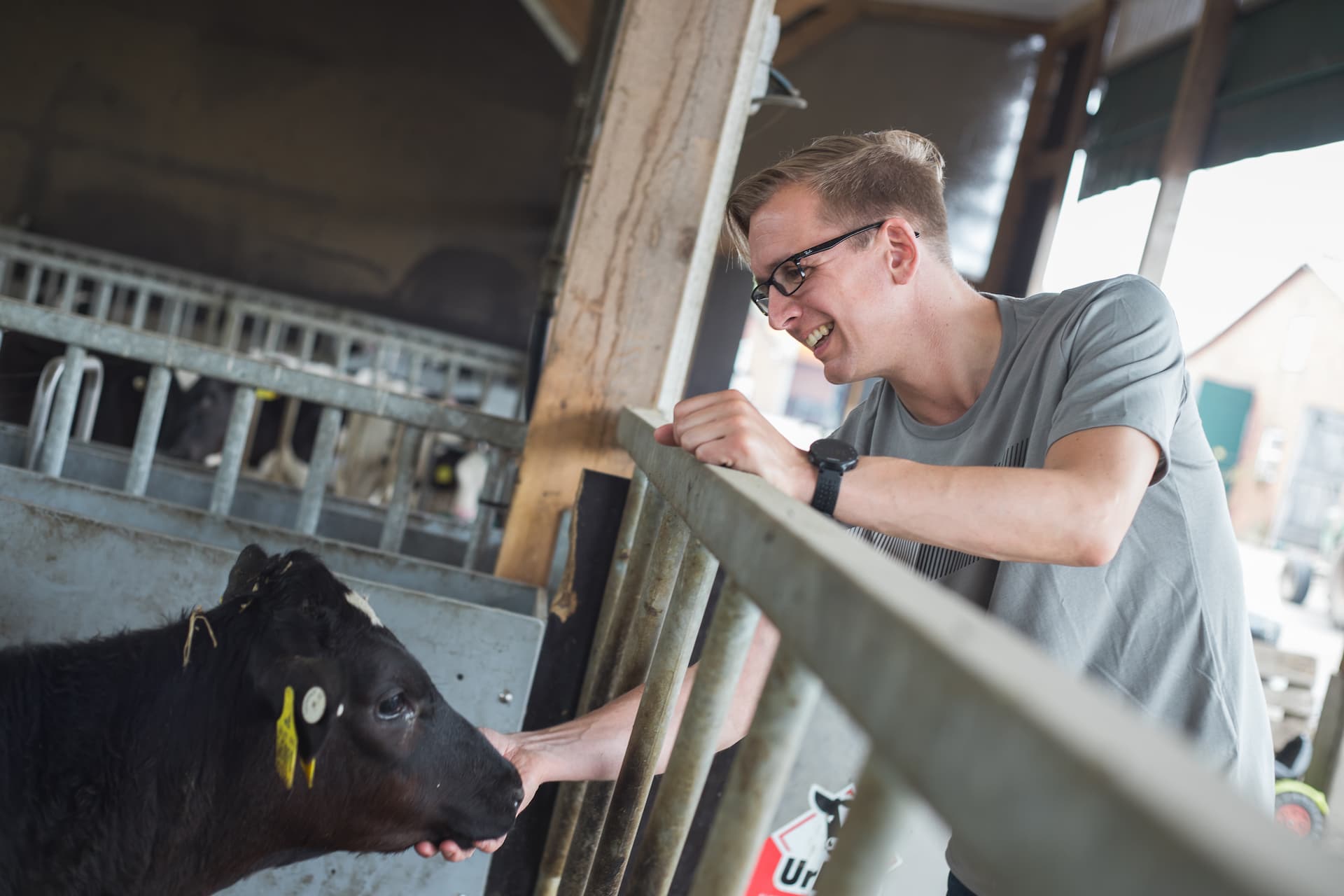 Landwirtschaft in der Wesermarsch